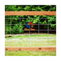 6 Ft. X 10 pi. Grille métallique Panneau de clôture pour porc sauvage Panneaux de clôture pour bétail en treillis métallique soudé