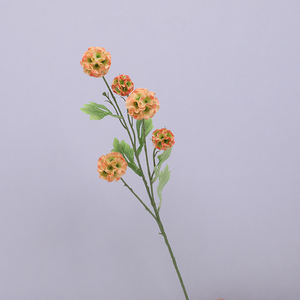 Fleur <span class=keywords><strong>Graine</strong></span> CLH-517 Soie Artificielle Pampas Herbe 5 Tête Roue Table Hall Décoration À La Main Style Moderne Usine En Gros - Product Image 1