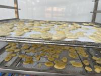 Déshydrateur Commercial KINKAI à Bas Prix et Haute Efficacité pour Fruits et Légumes, Machine de Séchage des Bananes