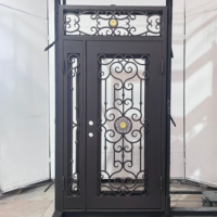 Portes d'entrée en fer forgé doubles et simples, style à ouverture battante, avec vitrage pour la maison principale