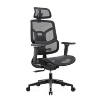 Chaise de bureau de luxe ergonomique en maille avec test BIFMA, service OEM/ODM personnalisé, Sillas De Oficina