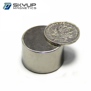 סופר חזק סין יצרן גלילי <span class=keywords><strong>neodymium</strong></span> מגנט 20mm - Product Image 5