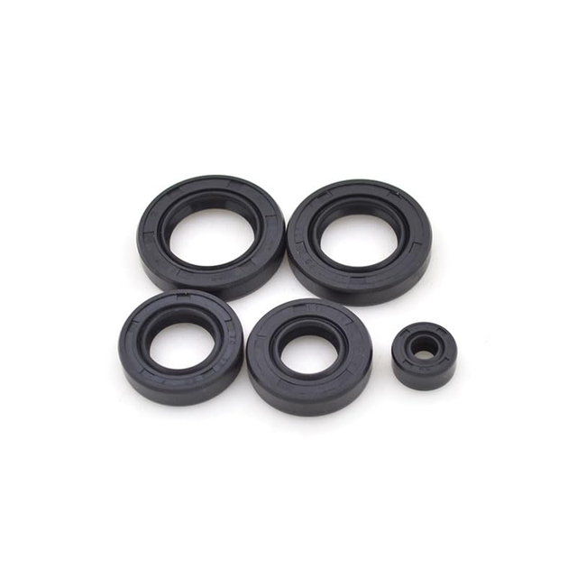 Motorcycle Accessories for 125cc Engine Oil Seal Kit CG125/CG150