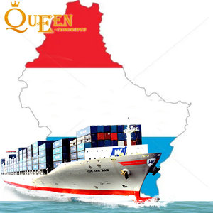 戸別配送EU配送サービス あなたの物流パートナーでグローバル成功を実現 ルクセンブルクへのDDP配送 信頼できるDDPとトラック輸送によるグローバル配送 - Product Image 3