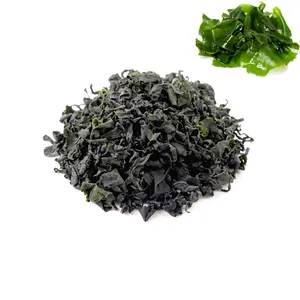 Good Quality Seafood Seaweed Dried Wakame Hiyashi Wakame for Seaweed Salads