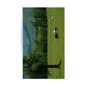 Module LCD de remplacement pour équipement industriel G156XW01 V.3 Original AUO 15,6 pouces WXGA TN anti-reflet - Product Image 5