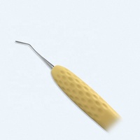 (Haute qualité) Instruments composites dentaires pour restaurations esthétiques