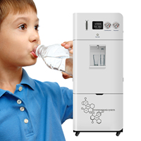 Distributeur intelligent d'ioniseur d'eau potable d'osmose inverse de purificateur d'eau d'osmose d'inversion pour l'usage domestique