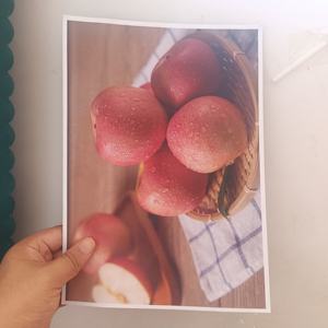 Cetak Brosur/Buku Promosi Desain Kustom Warna Murah Layanan Cetak Kertas Kustom untuk Bisnis & Penggunaan Kantor - Product Image 4