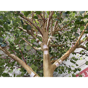 Arbre artificiel <span class=keywords><strong>en</strong></span> eucalyptus vert, décoration de table centrale, <span class=keywords><strong>petit</strong></span> arbre, prix bas, matériau <span class=keywords><strong>en</strong></span> <span class=keywords><strong>bois</strong></span> massif - Product Image 4