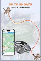 Traceur GPS G16 pour animaux de compagnie (chien, chat) avec collier gratuit + application, suivi en temps réel, anti-perte, étanche, GSM BeiDou, mini-appareil de suivi en plastique