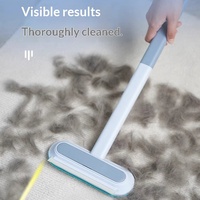 Brosse multifonctionnelle en plastique pour enlever les poils d'animaux, grattoir à fourrure pour chien et chat, rouleau anti-poils collant pour tapis, lit, meubles, utilisation humide ou sèche, facile à utiliser