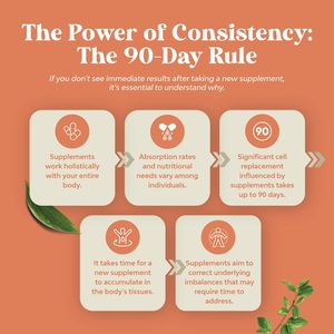 Extra Sterke Paddenstoelencomplex <span class=keywords><strong>Capsules</strong></span> Paddestoelsupplement <span class=keywords><strong>Capsules</strong></span> Met Reishi Chaga <span class=keywords><strong>Cordyceps</strong></span> & Hersenondersteuningssupplement - Product Image 3