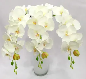 FC4201 Hot Koop 8 Heads Ivoor Zijde Kunstmatige Orchidee Bloemen Voor Decoratie