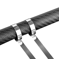 Attaches de serrage autobloquantes robustes en acier inoxydable 304 couleur naturelle, 300 mm (11,8 pouces), 100 pièces, haute résistance à la traction, pour câbles de clôture