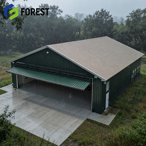 Hangar para Aviones de Estructura de Acero, Aislado, Precio de Fábrica Moderno, Calidad de Exportación - Product Image 1