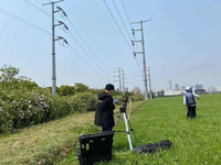 Système de machine de retrait d'obstacles de laser de Lazer 500w 1000w de coupe d'arbre de puissance élevée