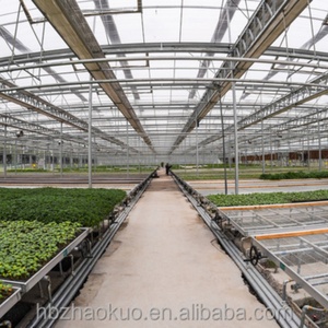 Mesa de trabajo rodante para invernadero con malla de alambre para siembra de tomates y cultivo de vegetales - Product Image 4