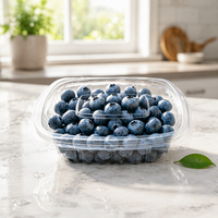 Boîte alimentaire en plastique transparente réutilisable pour fruits et légumes (laitue, tomate, myrtille, fraise)