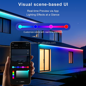 Tayire DC5-24V SP318E RGBIC LED denetleyici örgü ağ grubu kontrol up 200 cihazlar 2A çıkış 24W Max yük App müzik DIY BT - Product Image 4