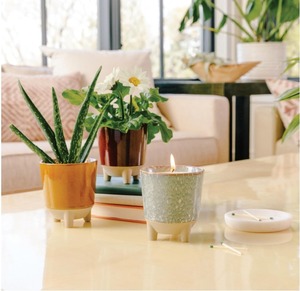 Kits de Fabricación de Velas Aromáticas de Soja Ecológicos de Lujo al por Mayor, Kit Personalizable para <span class=keywords><strong>Plantas</strong></span> de Hierbas de Jardín Casero, Moderno - Product Image 4