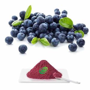 천연 월귤 나무속 추출물 분말 Vaccinium Uliginosum L 인스턴트 월귤 나무 과일 주스 분말 좋은 맛 베리 분말 - Product Image 2