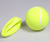 Grande balle de tennis gonflable de 9.5 pouces pour balle de tennis signée, jeux de tennis cadeau, balle de tennis pour animaux de compagnie bienvenue couleur et logo personnalisés