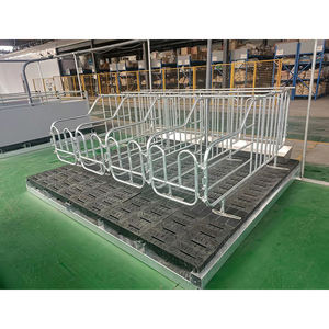 Nouvelles cages de gestation pour porcs en acier galvanisé à chaud, durables et à longue durée de vie, équipement d'élevage porcin - Product Image 5