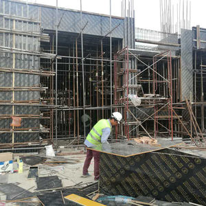 Encofrado de Hormigón con Sistema de Plantillas Ecológico Moderno de 18 mm, Madera Contrachapada Recubierta de Grado de Construcción - Product Image 2