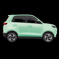 Lancement d'un nouveau produit Véhicule électrique à basse vitesse à propulsion arrière fabriqué en Chine