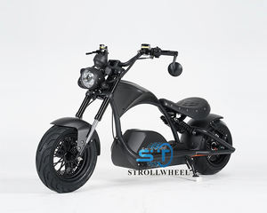 Moto Elettrica Sportiva 2000W MANGOSTEEN Fuoristrada, Disponibile in Magazzino in Svizzera - Product Image 2