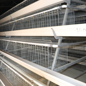 4 Tier a-tipi komple otomatik yumurta tavuk yetiştirme ekipmanları otomatik gübre temizleme kemeri ile sıcak daldırma galvanizli pil kafesi - Product Image 2