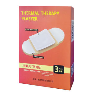 BT Medica 2024 <span class=keywords><strong>Best</strong></span> <span class=keywords><strong>Selling</strong></span> <span class=keywords><strong>Chinese</strong></span> Body Application Medical Plasters <span class=keywords><strong>Hot</strong></span> Trending Product - Product Image 4