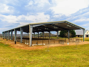 S-ngựa kim loại hiện đại Nhà kho thép mái nhà cấu trúc bóng râm Trang trại ngựa Đấu Trường Vuông Xây Dựng nơi trú ẩn Ngựa chất lượng cao - Product Image 4