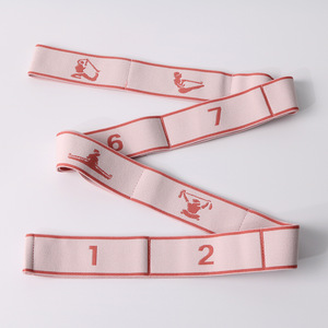 Bande de résistance Maioka à 10 grilles, élastique numérique, pour yoga, étirements, exercices portables - Product Image 4