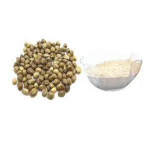 Bột Protein cây gai dầu 50%-70%