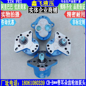 CBW-40 50 63 TCBW-B40 B50หัวปั๊มน้ำมันเกียร์ B63ชนิดหูสำหรับน้ำมันต่างๆ - Product Image 3