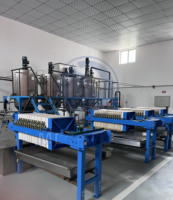 Mini Machine de Raffinage d'Huile de Palme, Usine de Raffinage d'Huile Comestible