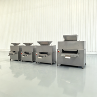 Mesin Pembuat Jus Jeruk Multi-fungsi Twin Roller Otomatis, Mesin Cold Press, Pembuat Jus Sayuran untuk Kale, Bit, Tomat