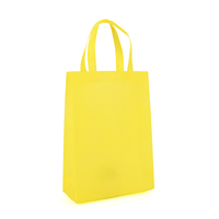 Sac fourre-tout écologique en tissu non tissé, logo personnalisé, couleur promotionnelle, sac de shopping réutilisable, poignée en sangle PP, bandoulière
