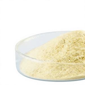 วัตถุดิบโปรไบโอติกส์ชนิดผง บิฟิโดแบคทีเรียม ลองัม CCFM760 แบบไมโครเอนแคปซูล 100 พันล้าน CFU/กรัม - Product Image 2