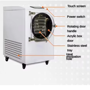 Pompa per Vuoto, Macchina Liofilizzatrice Automatica, Attrezzatura per Essiccazione di Piccole Quantità di Alimenti e Bevande, Prezzo Liofilizzatore Sottovuoto - Product Image 5