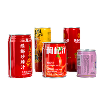 Herbruikbare cilindrische stalen drinkblikken met aangepaste bedrukking voor aangepaste energydrinkblikken