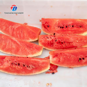 Melancia de aço inoxidável 0.75kw, máquina de descascar e bater - Product Image 6