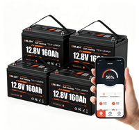 Batterie LiFePO4 Enlzh 12,8 V 160 Ah avec BMS auto-chauffant intégré, écran LCD Bluetooth, pack de batteries au lithium solaire OEM