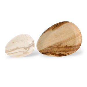 Assiettes en feuilles de palmier naturelles en forme de goutte de 26 cm pour emballage alimentaire et vente au détail - Product Image 4