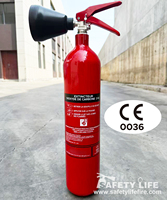 Extincteur à CO2 certifié CE pour les incendies électriques et de classe B, OEM
