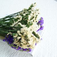 Flores Secas de Pampas Naturales Azules al por Mayor, Ecológicas, Duraderas, Decoración para el Hogar, Bodas, Navidad, Pascua