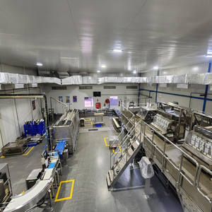 Machine de remplissage et d'emballage multi-usages avec fonction de comptage et d'emballage de sachets de sachets pour granulés de poudre alimentaire - Product Image 1