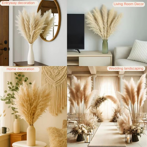 Plumas de Pampa Secas Ecológicas Naturales Esponjosas Decoración Boho para el Hogar Crema Beige <span class=keywords><strong>Pampas</strong></span> Altas Día de la Madre Año Nuevo - Product Image 6